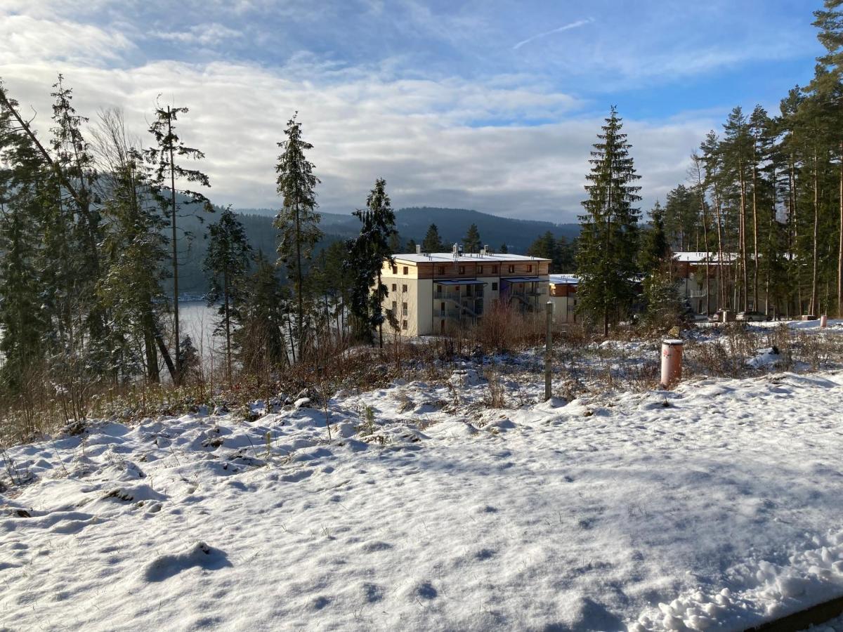 Lipno Port Apartment A103 リプノ・ナト・ヴルタヴォウ エクステリア 写真