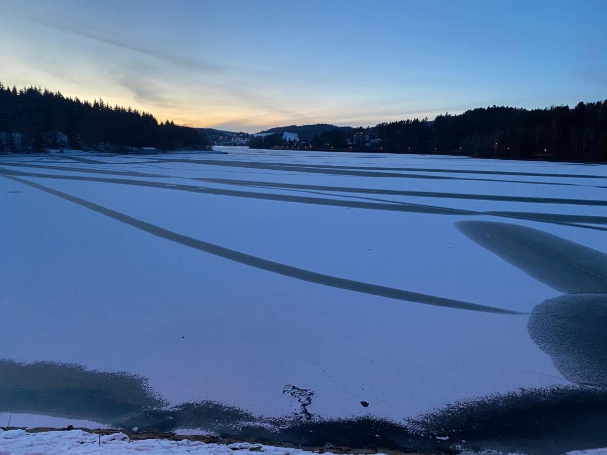 Lipno Port Apartment A103 リプノ・ナト・ヴルタヴォウ エクステリア 写真